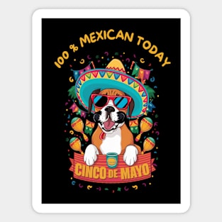 Boxer Dog Cinco de Mayo Magnet